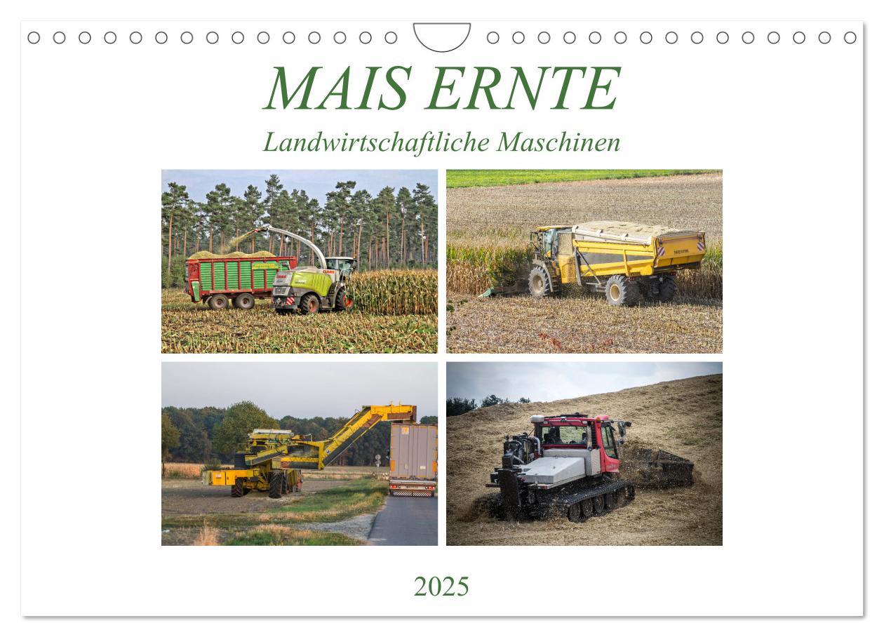 Cover: 9783435293704 | MAIS ERNTE (Wandkalender 2025 DIN A4 quer), CALVENDO Monatskalender