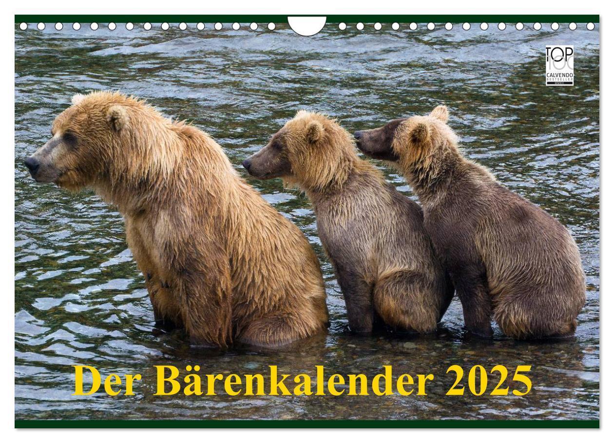 Cover: 9783435821488 | Der Bärenkalender 2025 (Wandkalender 2025 DIN A4 quer), CALVENDO...