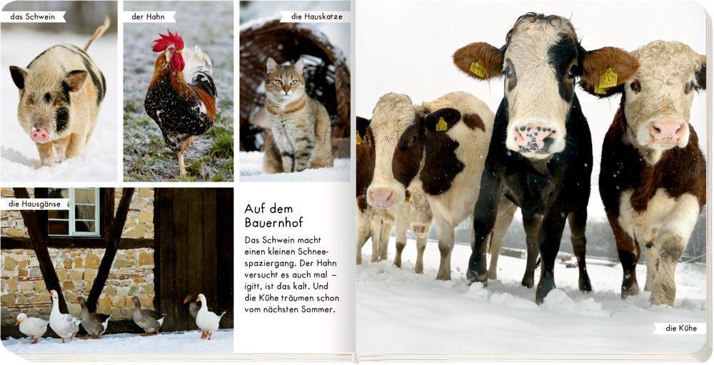 Bild: 9783649639190 | Meine liebsten Tiere im Winter | Buch | 28 S. | Deutsch | 2021