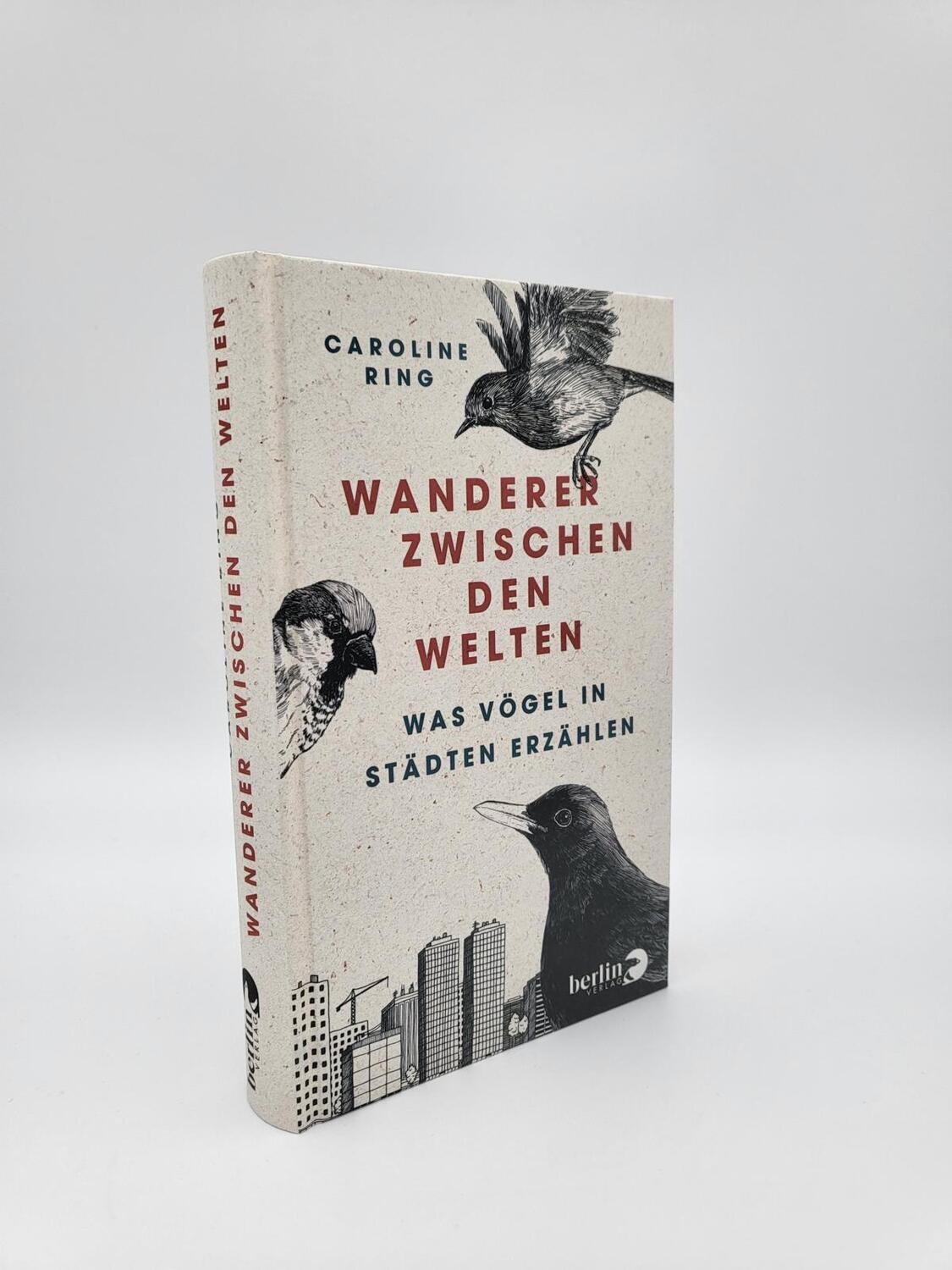 Bild: 9783827014535 | Wanderer zwischen den Welten | Caroline Ring | Buch | 288 S. | Deutsch