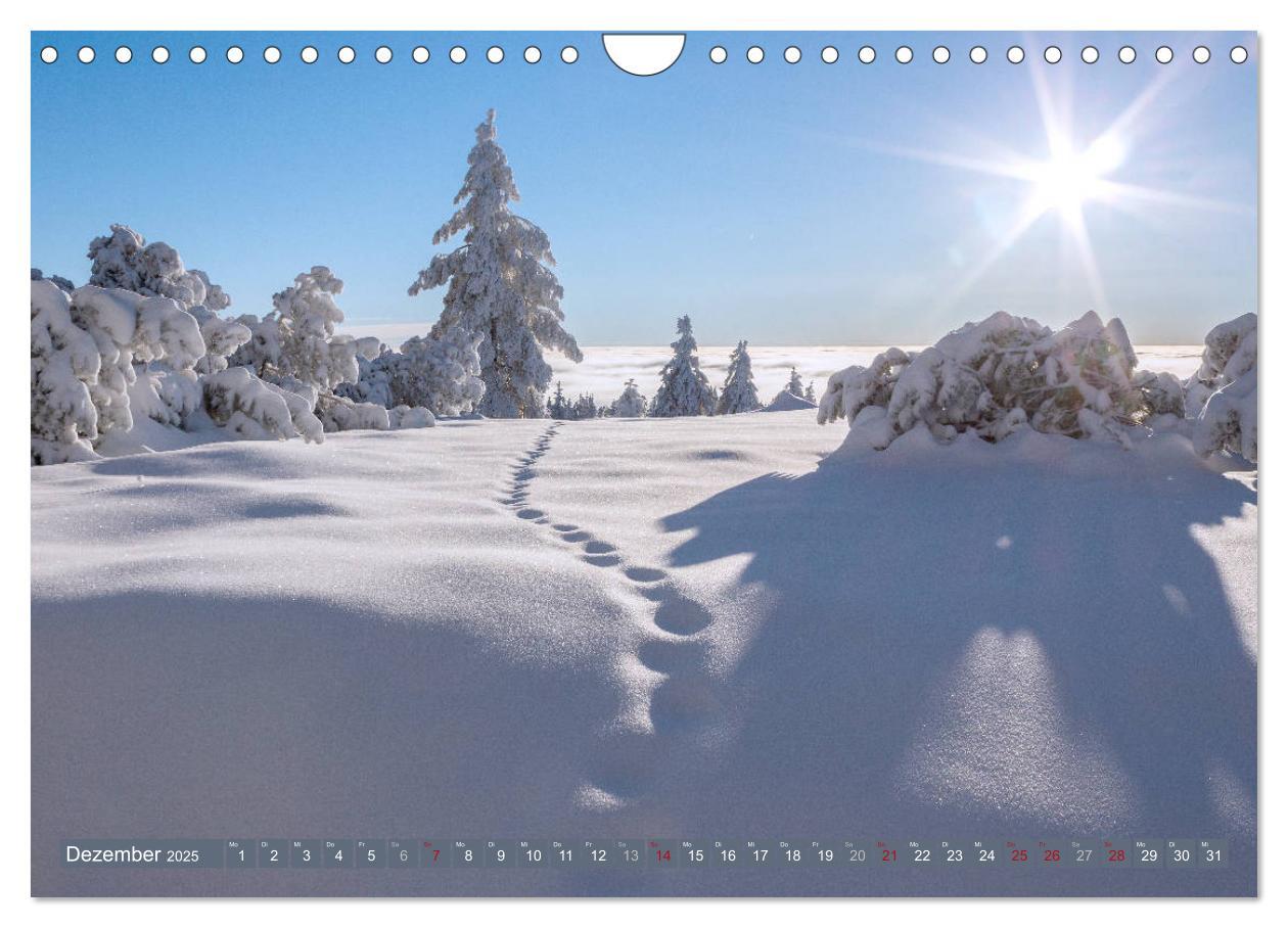 Bild: 9783435377213 | Die Jahreszeiten im Nordschwarzwald (Wandkalender 2025 DIN A4...