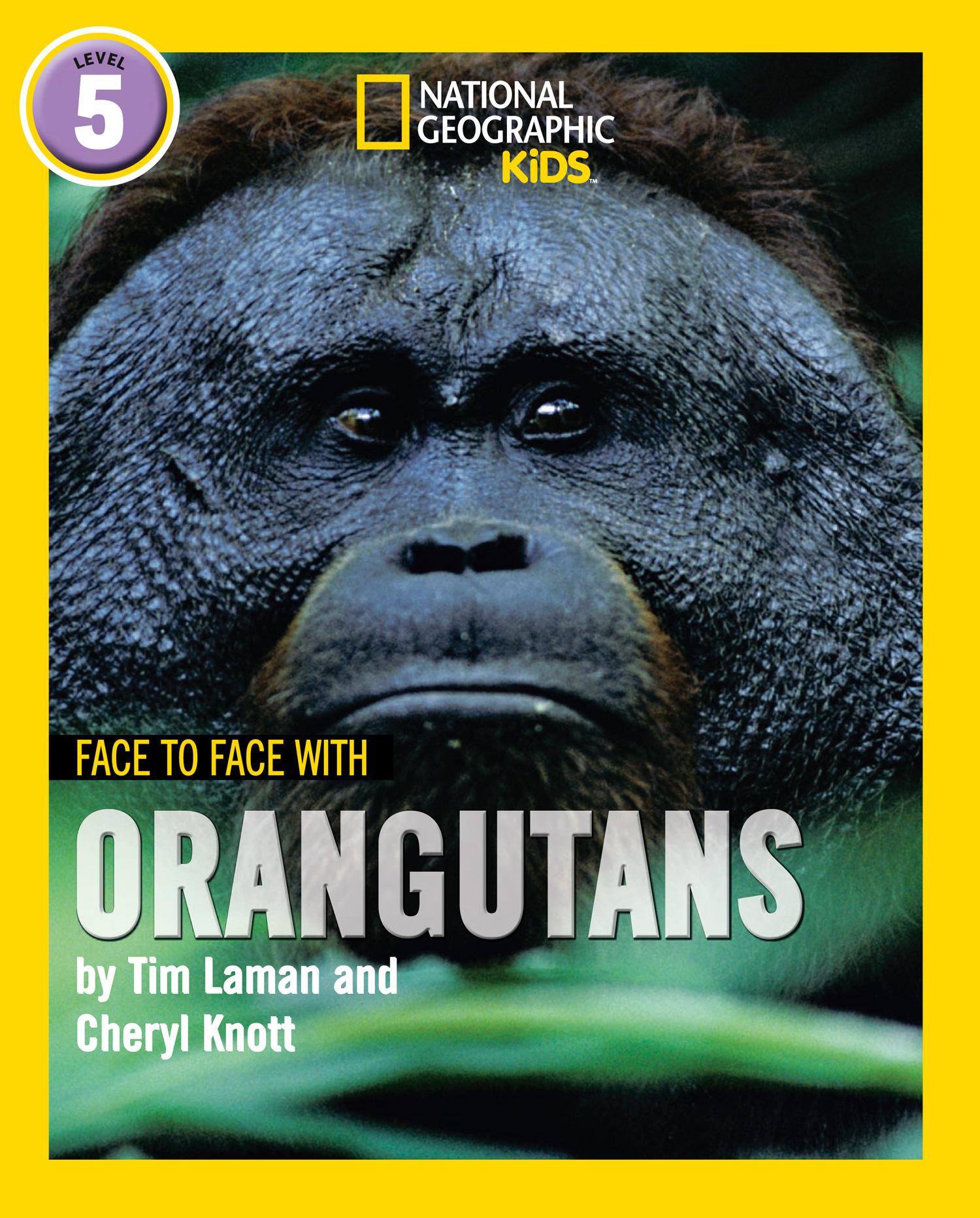 Cover: 9780008358075 | Face to Face with Orangutans | Level 5 | Cheryl Knott (u. a.) | Buch