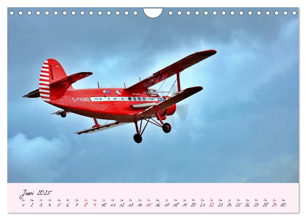 Bild: 9783435200269 | Schätzchen der Lüfte (Wandkalender 2025 DIN A4 quer), CALVENDO...