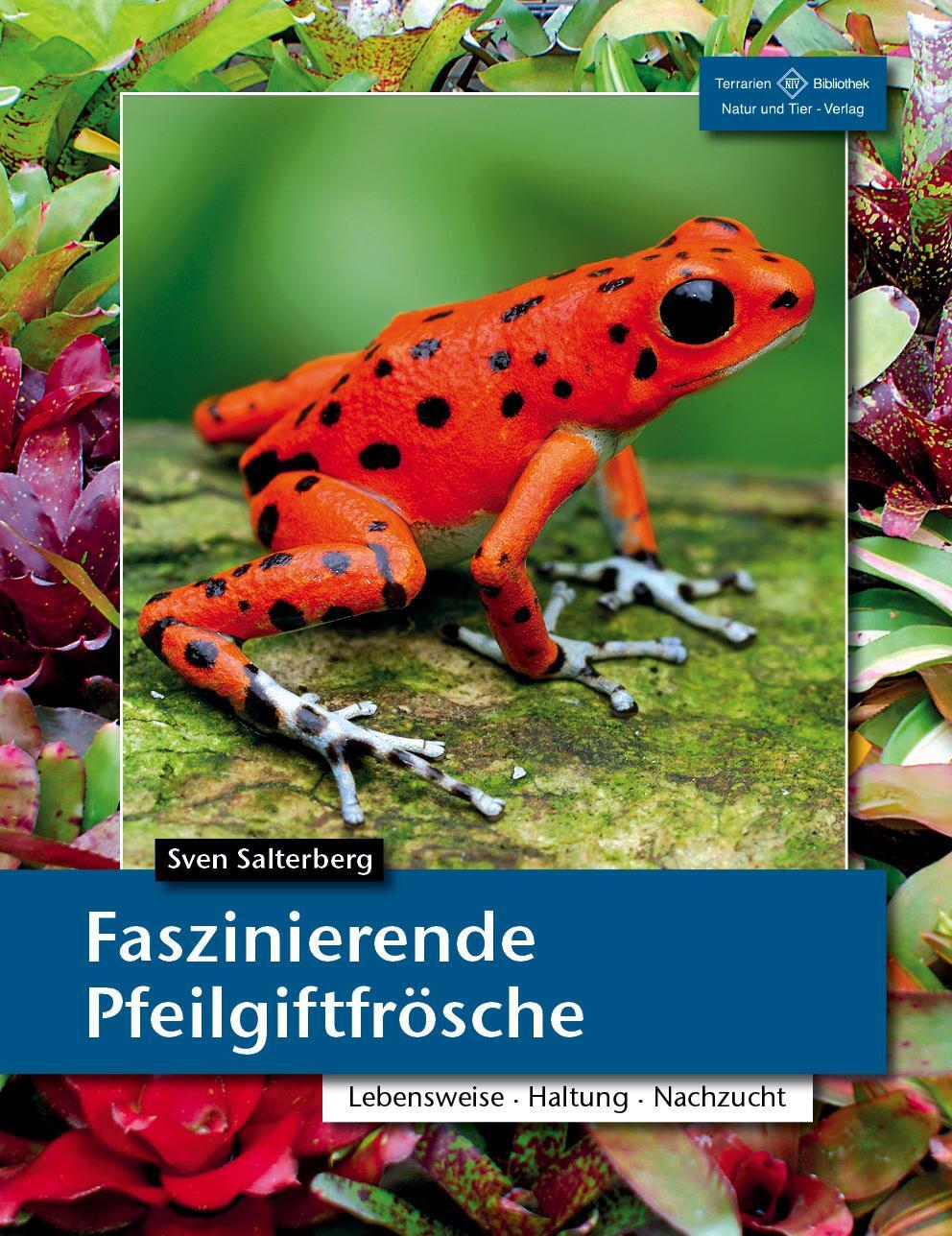 Cover: 9783866592995 | Faszinierende Pfeilgiftfrösche | Lebensraum, Haltung, Nachzucht | Buch