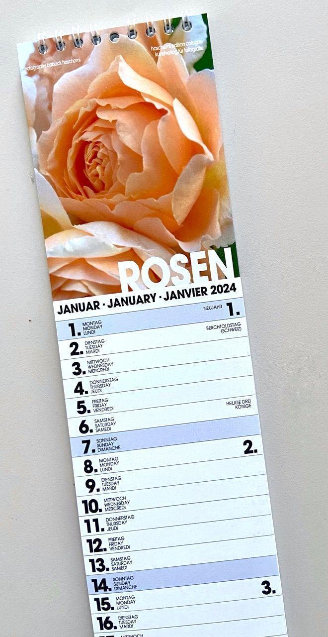 Bild: 9783936222982 | Rosen Planer 2025 | Fotoplaner Small | Baback Haschemi | Kalender