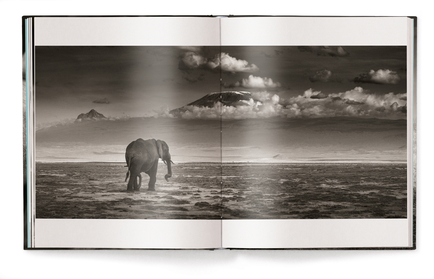 Bild: 9783961710478 | Elephants in Heaven | Joachim Schmeisser | Buch | 176 S. | Deutsch