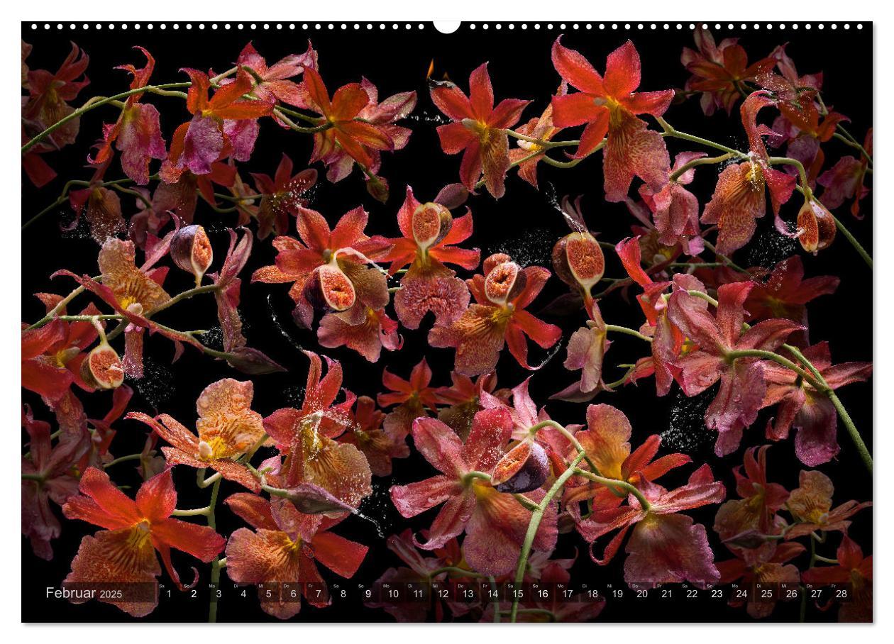 Bild: 9783383853258 | Orchidea (Wandkalender 2025 DIN A2 quer), CALVENDO Monatskalender