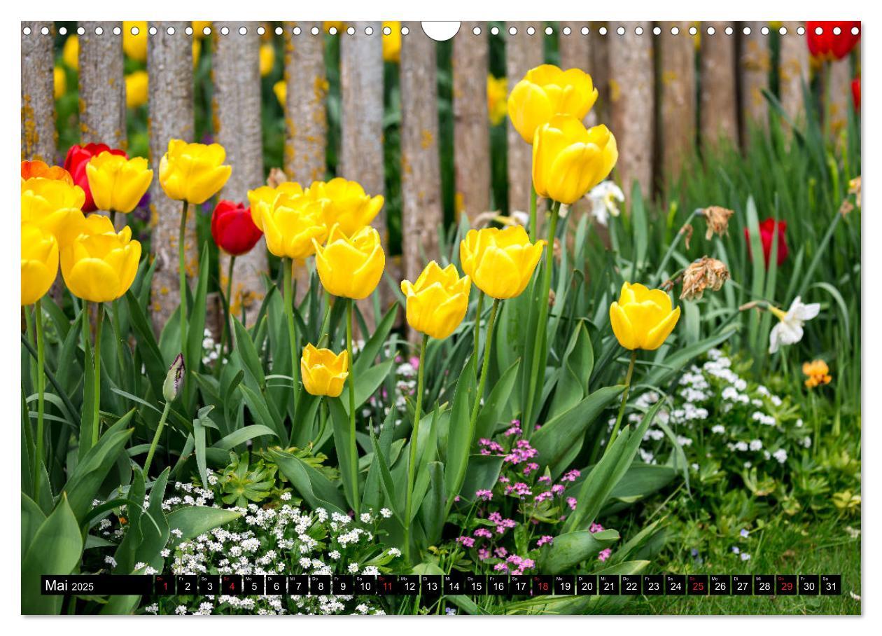 Bild: 9783435227884 | Kleine Blumen ganz groß (Wandkalender 2025 DIN A3 quer), CALVENDO...