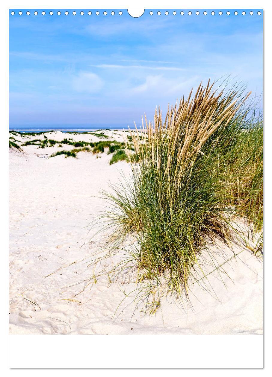 Bild: 9783435971756 | Borkum Strandspaziergang (Wandkalender 2025 DIN A3 hoch), CALVENDO...