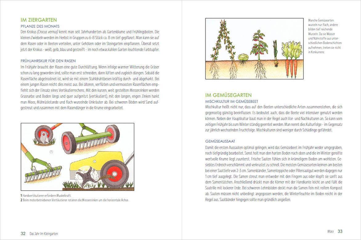 Bild: 9783809446309 | Mein Jahr im Kleingarten. Schrebergarten für Anfänger | Ursula Kopp