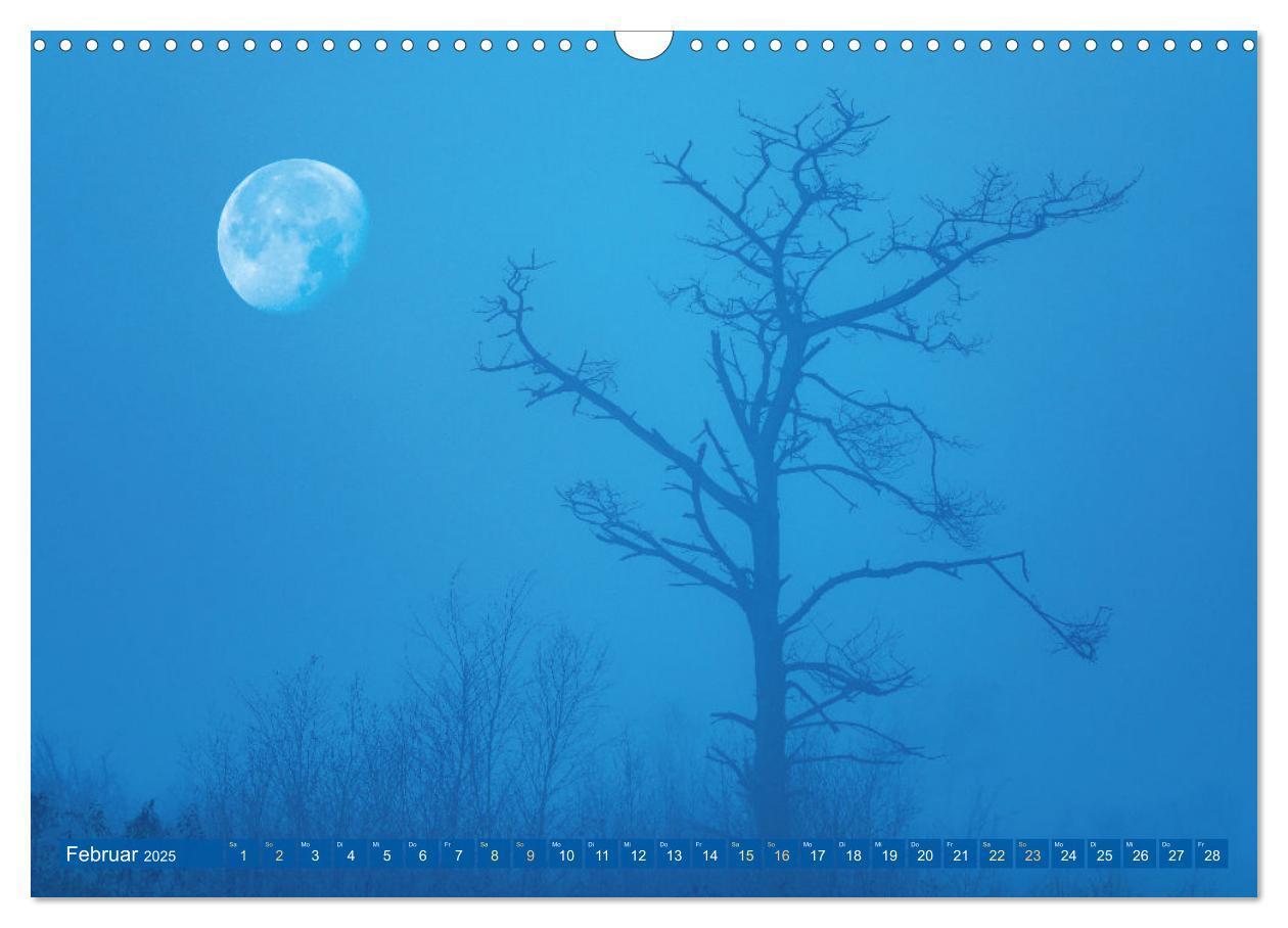 Bild: 9783435055920 | Vollmond: Wundersames Licht des Mondes (Wandkalender 2025 DIN A3...