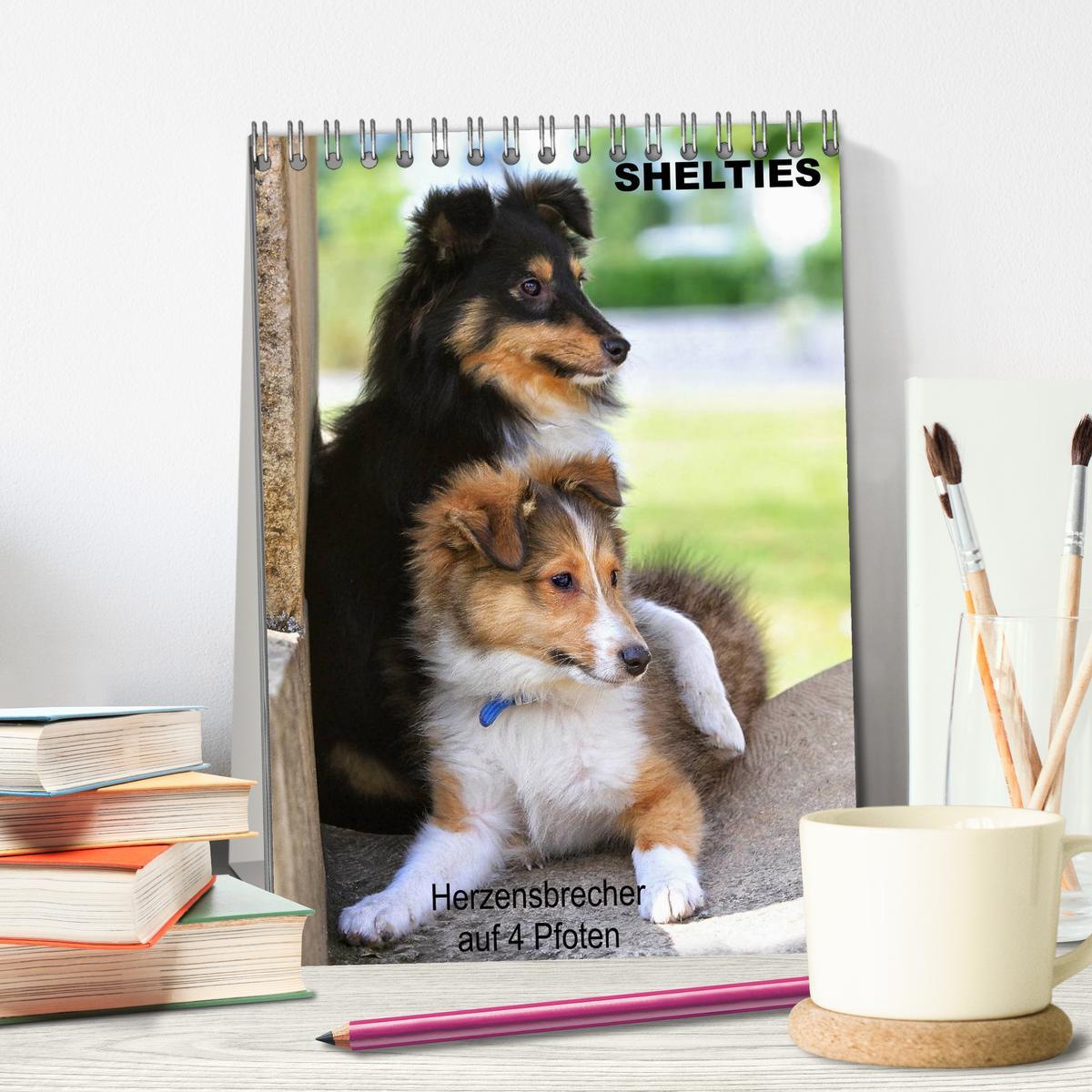 Bild: 9783457011997 | SHELTIES Herzensbrecher auf 4 Pfoten (Tischkalender 2025 DIN A5...