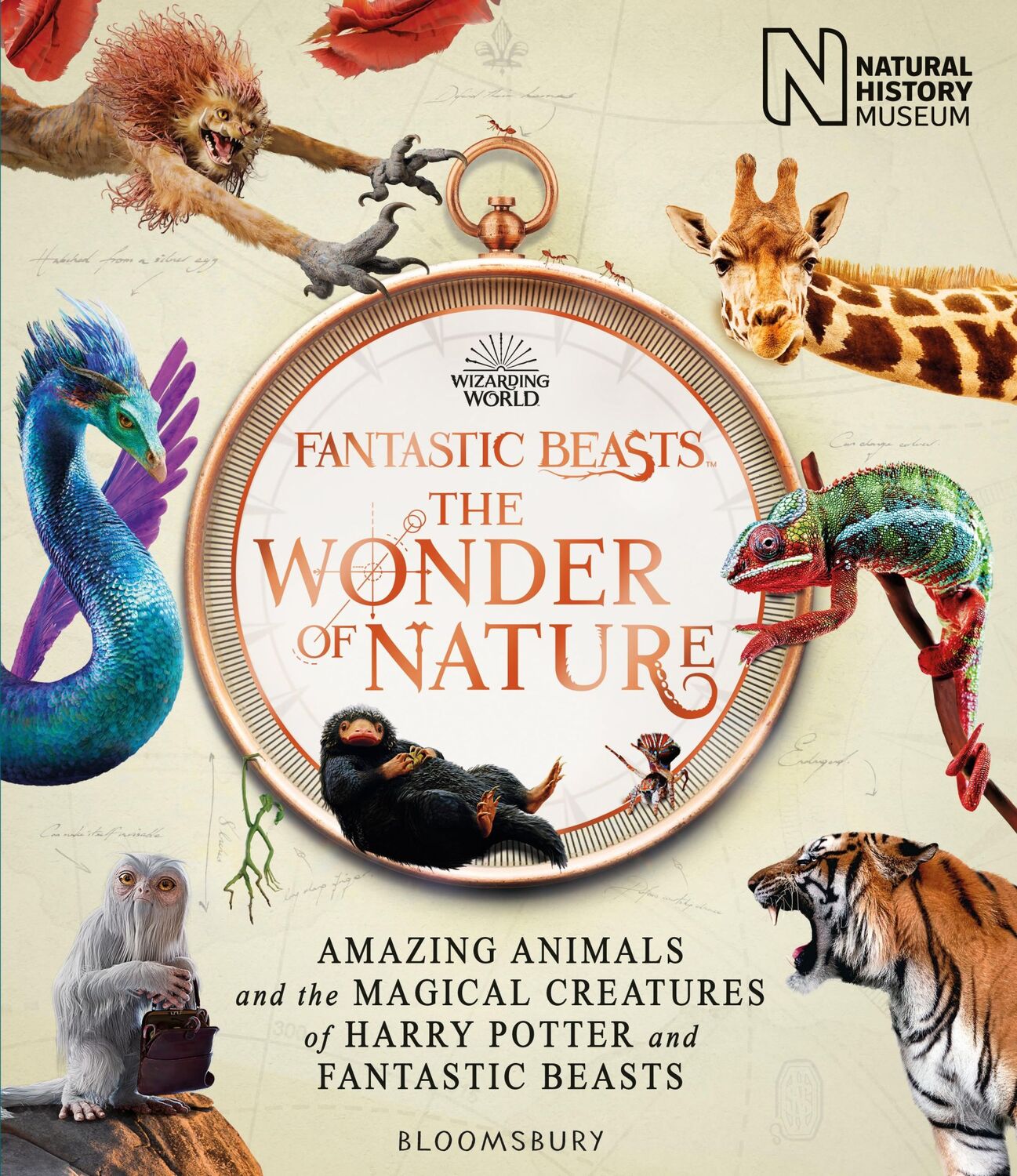 Cover: 9781526624048 | Fantastic Beasts: The Wonder of Nature | Natural History Museum | Buch