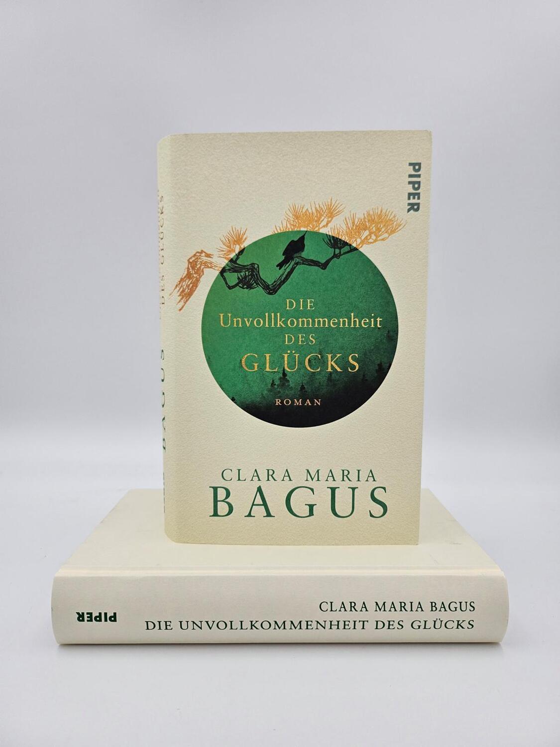 Bild: 9783492072977 | Die Unvollkommenheit des Glücks | Clara Maria Bagus | Buch | 416 S.