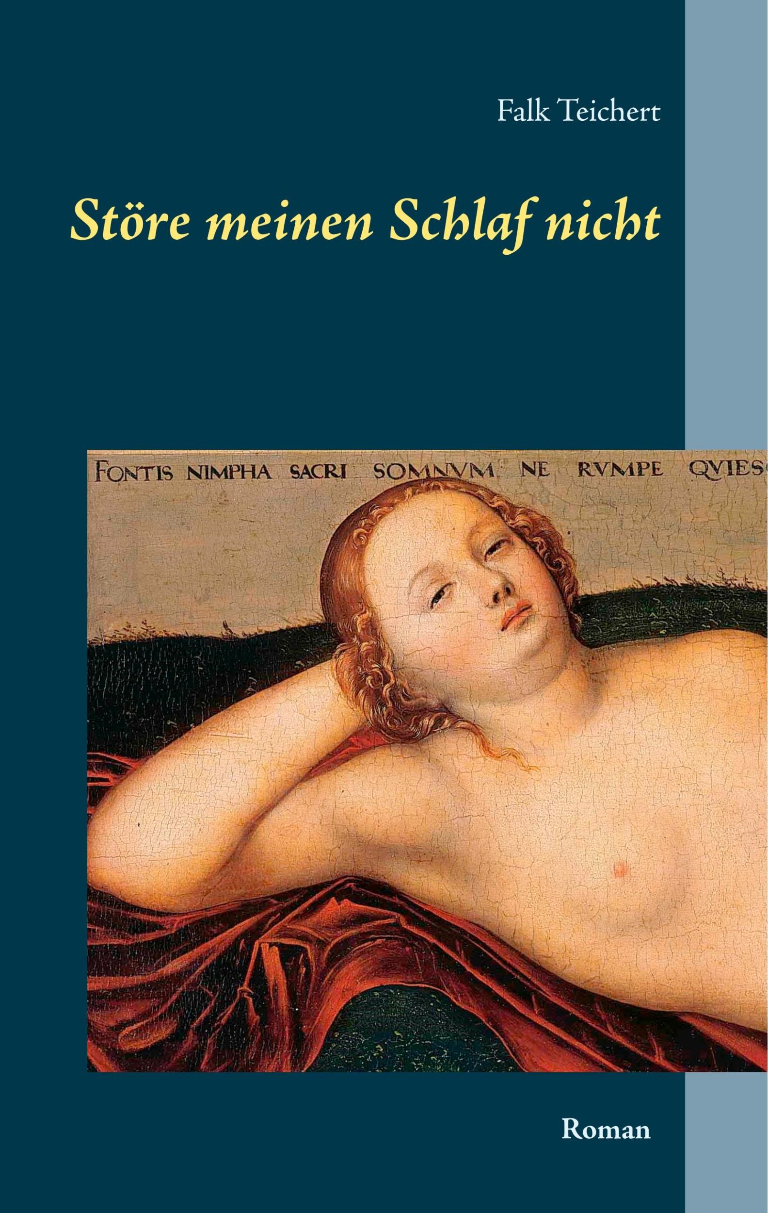 Cover: 9783746057316 | Störe meinen Schlaf nicht | Ein spannender Krimi über Raubkunst | Buch