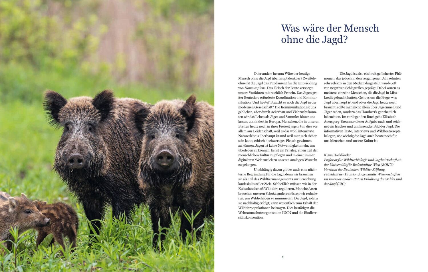 Bild: 9783710606847 | Auf der Jagd | Tradition. Moderne Jagdkultur. Kulinarik | Buch | 2023