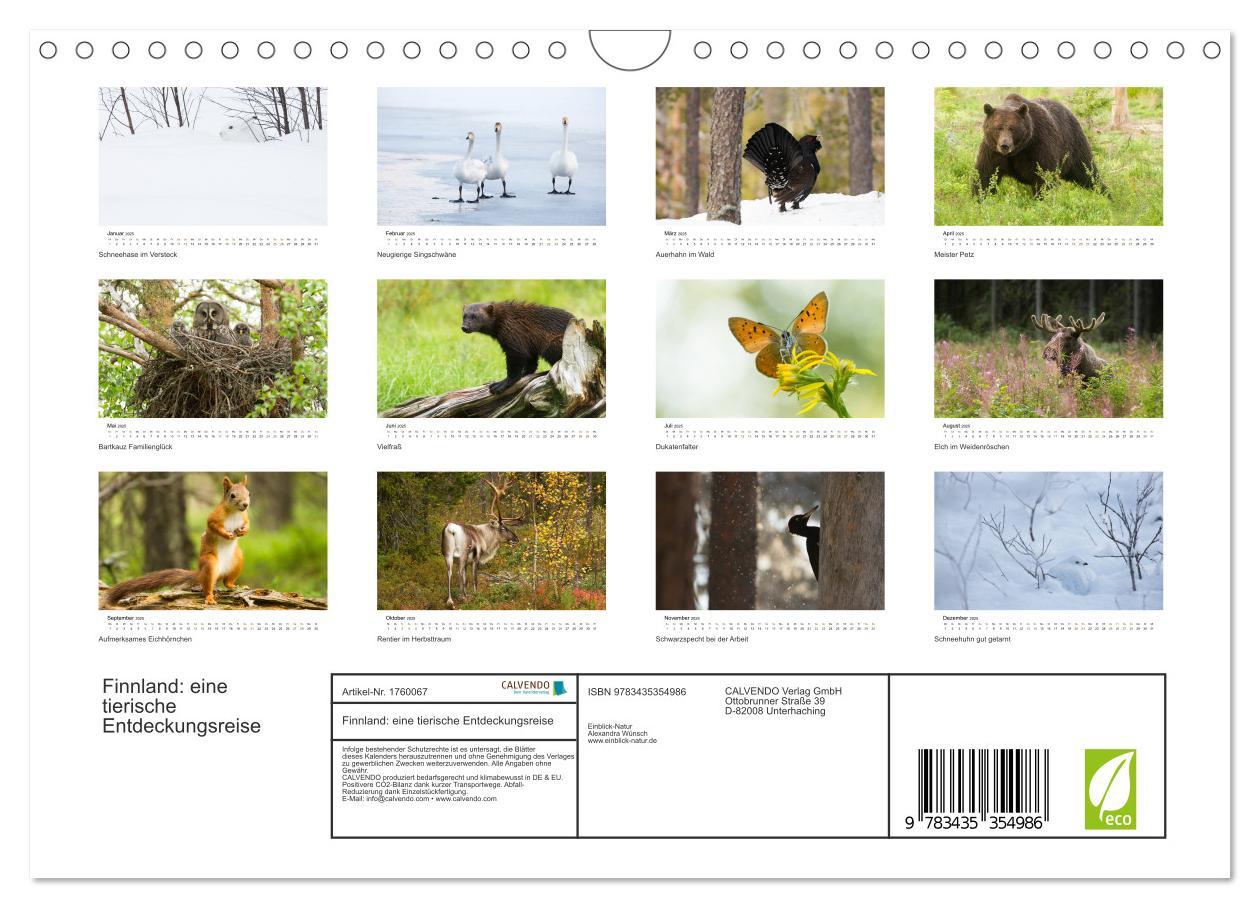 Bild: 9783435354986 | Finnland: eine tierische Entdeckungsreise (Wandkalender 2025 DIN A4...