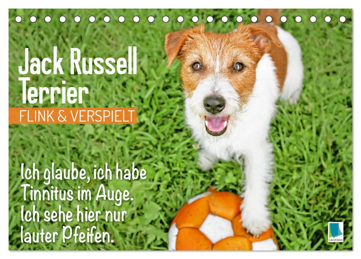 Cover: 9783457199855 | Jack Russell Terrier: flink und verspielt (Tischkalender 2025 DIN...