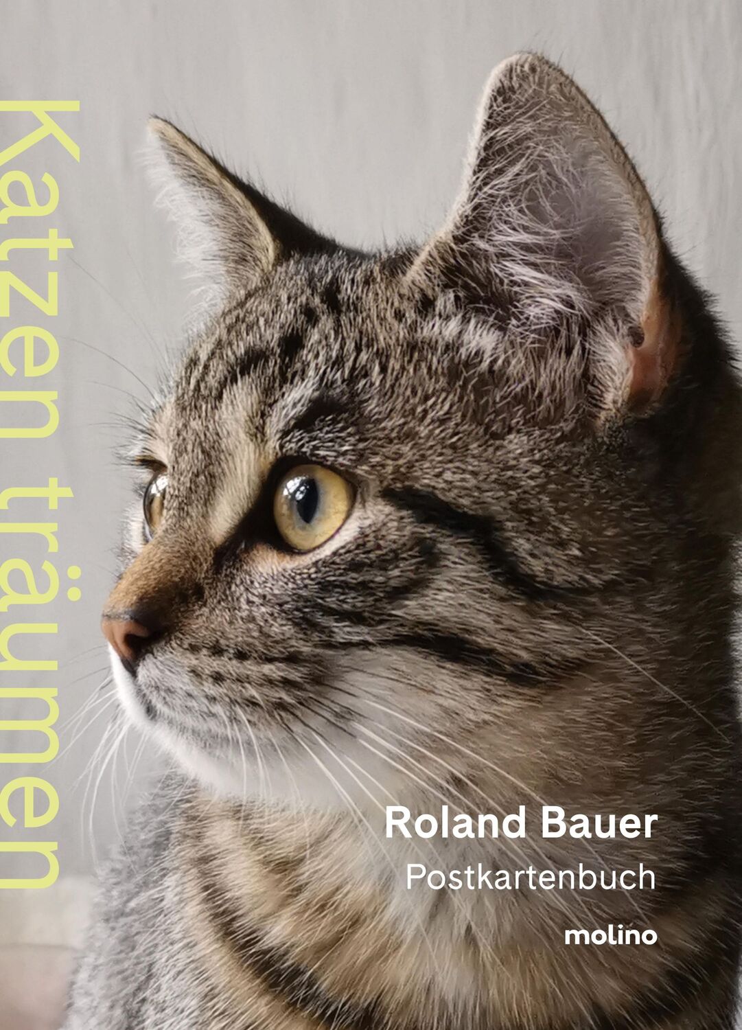 Cover: 9783948696825 | Katzen träumen | Roland Bauer | Stück | 20 S. | Deutsch | 2024