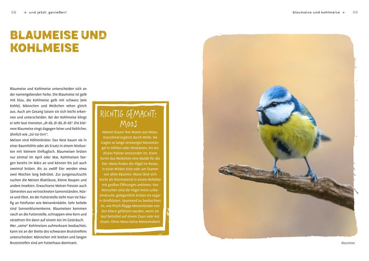 Bild: 9783818622244 | Mehr Gezwitscher im Garten | Anita Schäffer | Taschenbuch | 128 S.