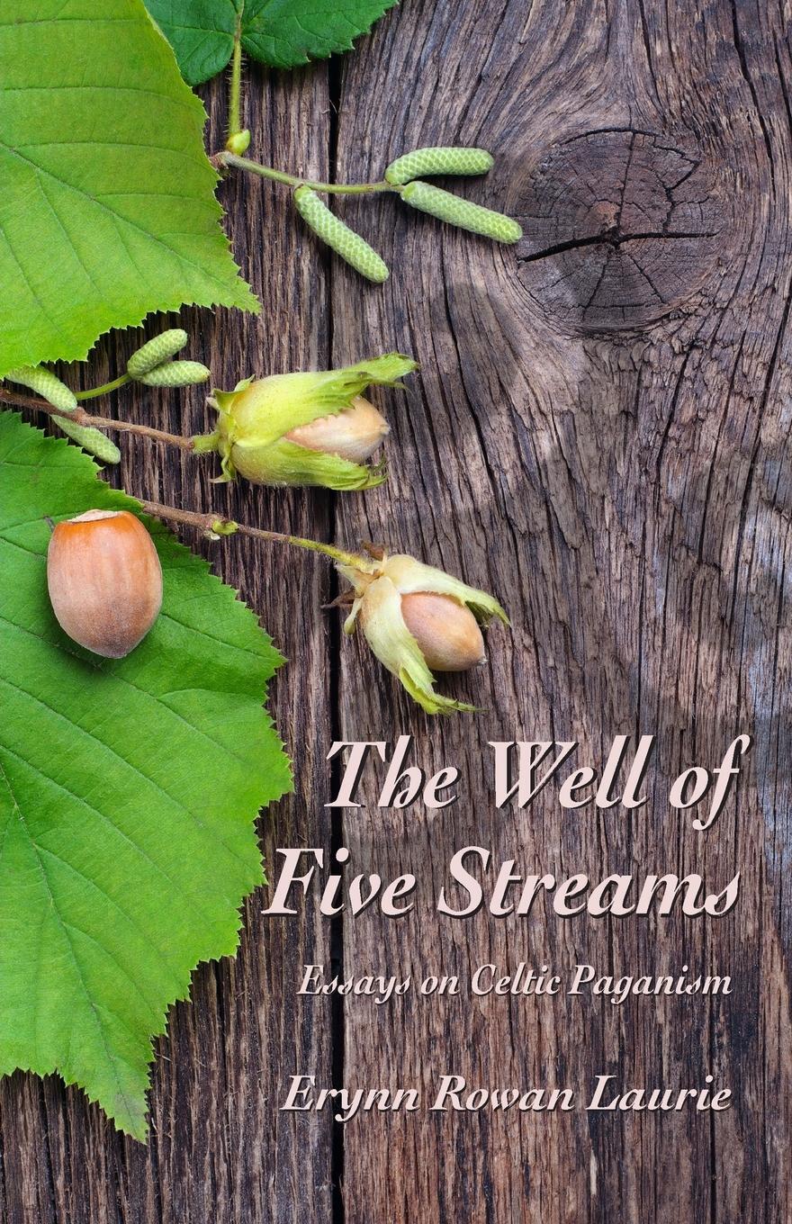 Cover: 9780993237119 | The Well of Five Streams | Erynn Rowan Laurie | Taschenbuch | Englisch