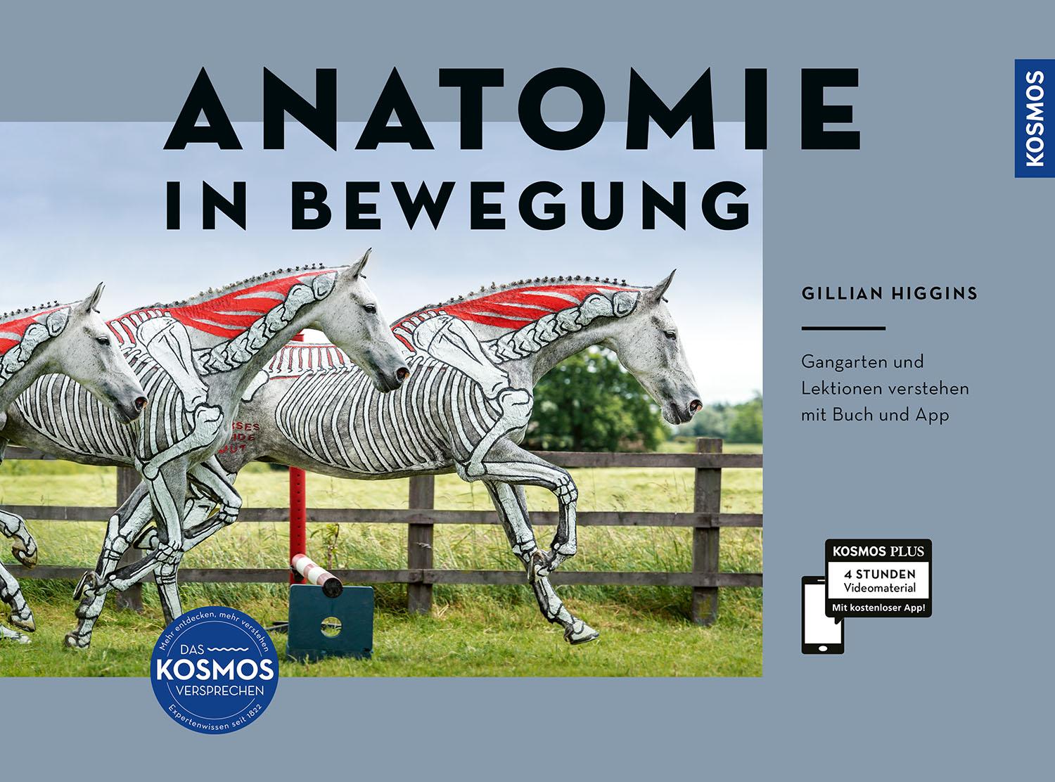 Cover: 9783440178942 | Anatomie in Bewegung | Gillian Higgins | Buch | 142 S. | Deutsch