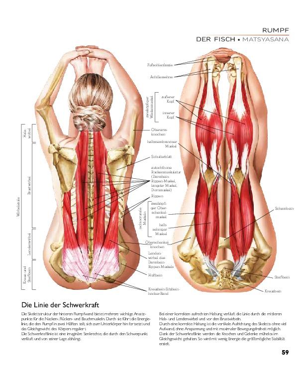 Bild: 9783966643849 | YOGA - Atlas der Anatomie | Svenja Tengs | Buch | 256 S. | Deutsch