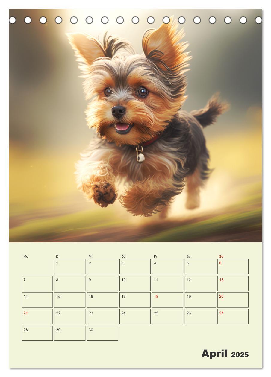 Bild: 9783435874705 | Yorkshire Terrier. Fröhliche Energiebündel in Aktion (Tischkalender...