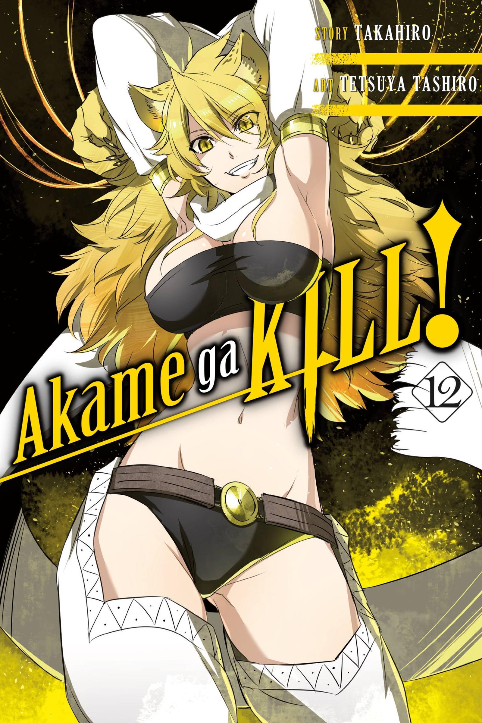 Cover: 9780316473323 | Akame Ga Kill!, Vol. 12 | Takahiro | Taschenbuch | Englisch | 2017