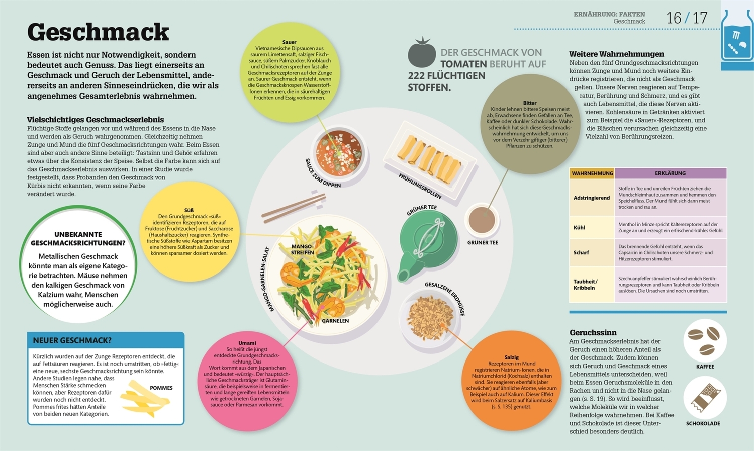 Bild: 9783831033041 | #dkinfografik. Was wir essen | Alles über unsere Nahrung | Buch | 2018