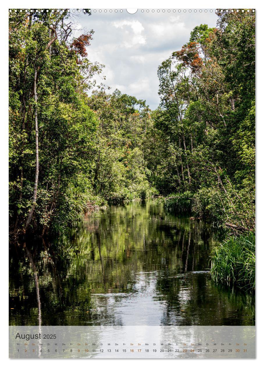 Bild: 9783435911103 | BORNEO Bedrohtes Paradies (Wandkalender 2025 DIN A2 hoch), CALVENDO...