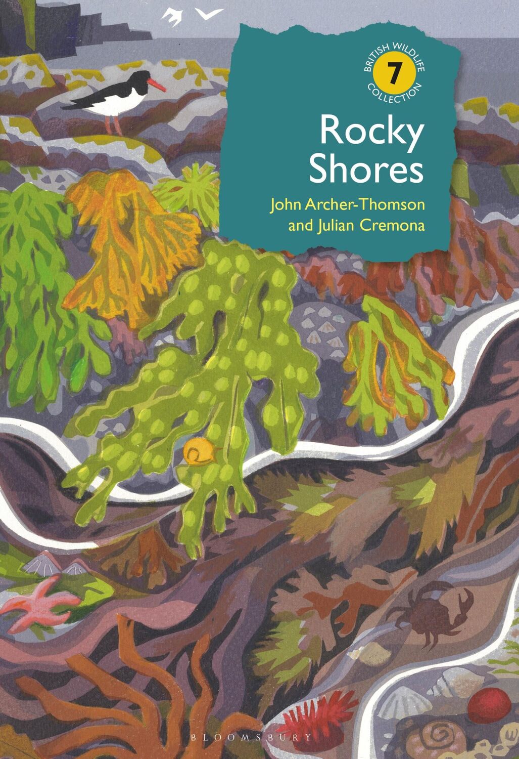 Cover: 9781472943132 | Rocky Shores | John Archer-Thomson (u. a.) | Buch | Englisch | 2019