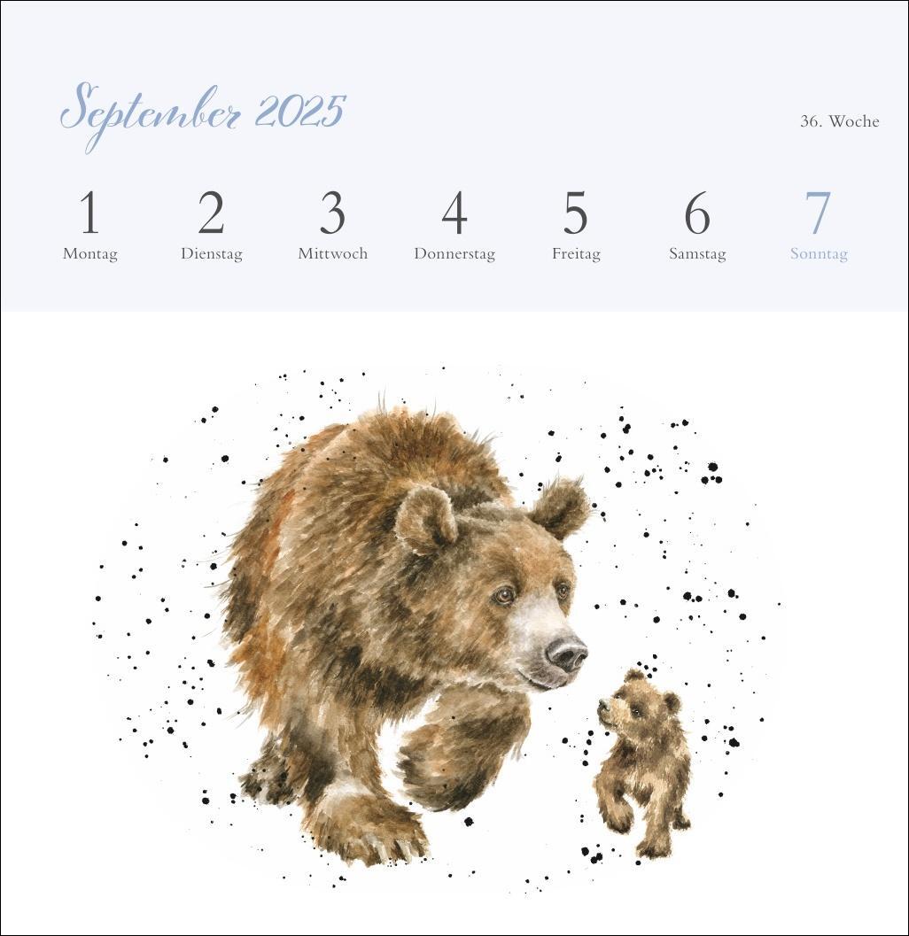 Bild: 9783756408641 | Hannah Dale: Happy Animals Premium-Postkartenkalender 2025 | Kalender