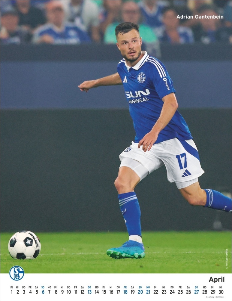 Bild: 9783756406197 | Schalke 04 Posterkalender 2025 | Kalender | Spiralbindung | 14 S.