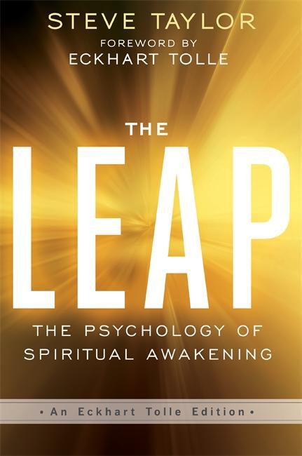 Cover: 9781781809211 | The Leap | Steve Taylor | Taschenbuch | Kartoniert / Broschiert | 2017