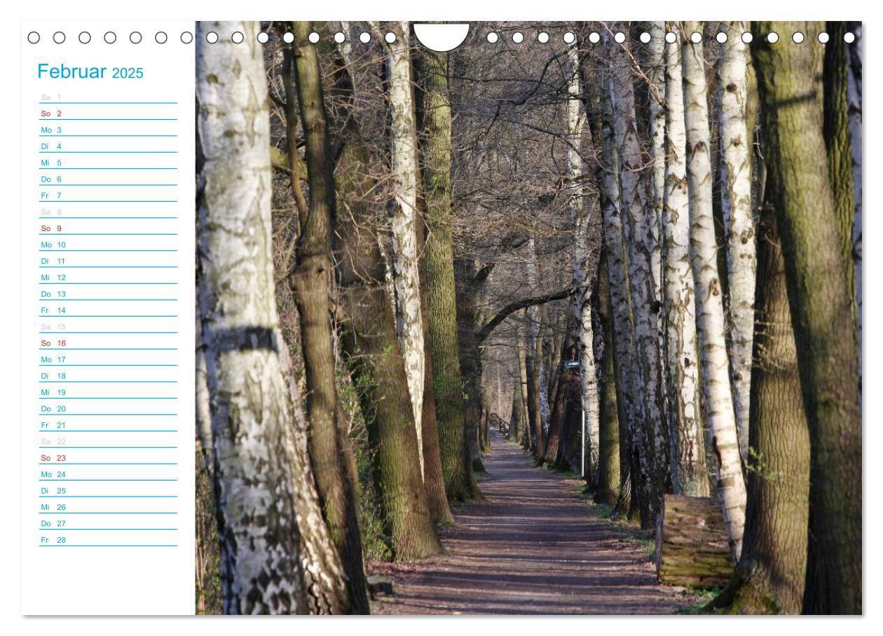 Bild: 9783435515271 | Wunderschöner Spreewald (Wandkalender 2025 DIN A4 quer), CALVENDO...