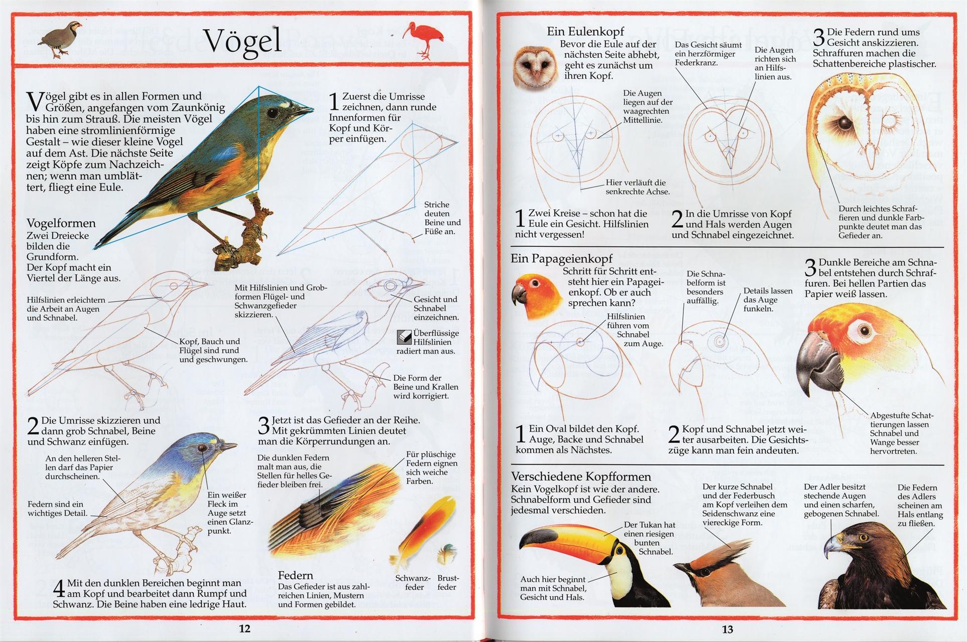 Bild: 9783831030835 | Zeichnen leicht gemacht | Corbett | Buch | 68 S. | Deutsch | 2016