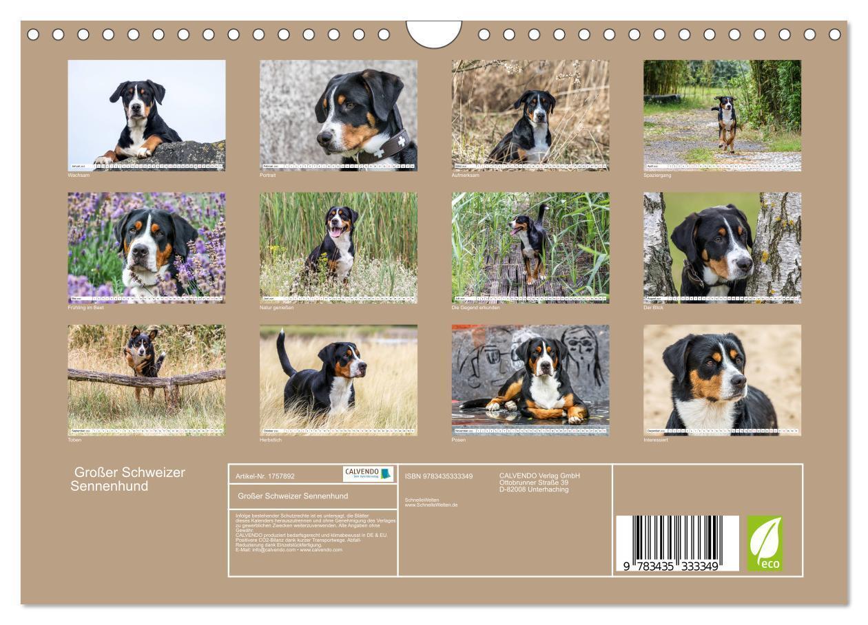 Bild: 9783435333349 | Großer Schweizer Sennenhund (Wandkalender 2025 DIN A4 quer),...