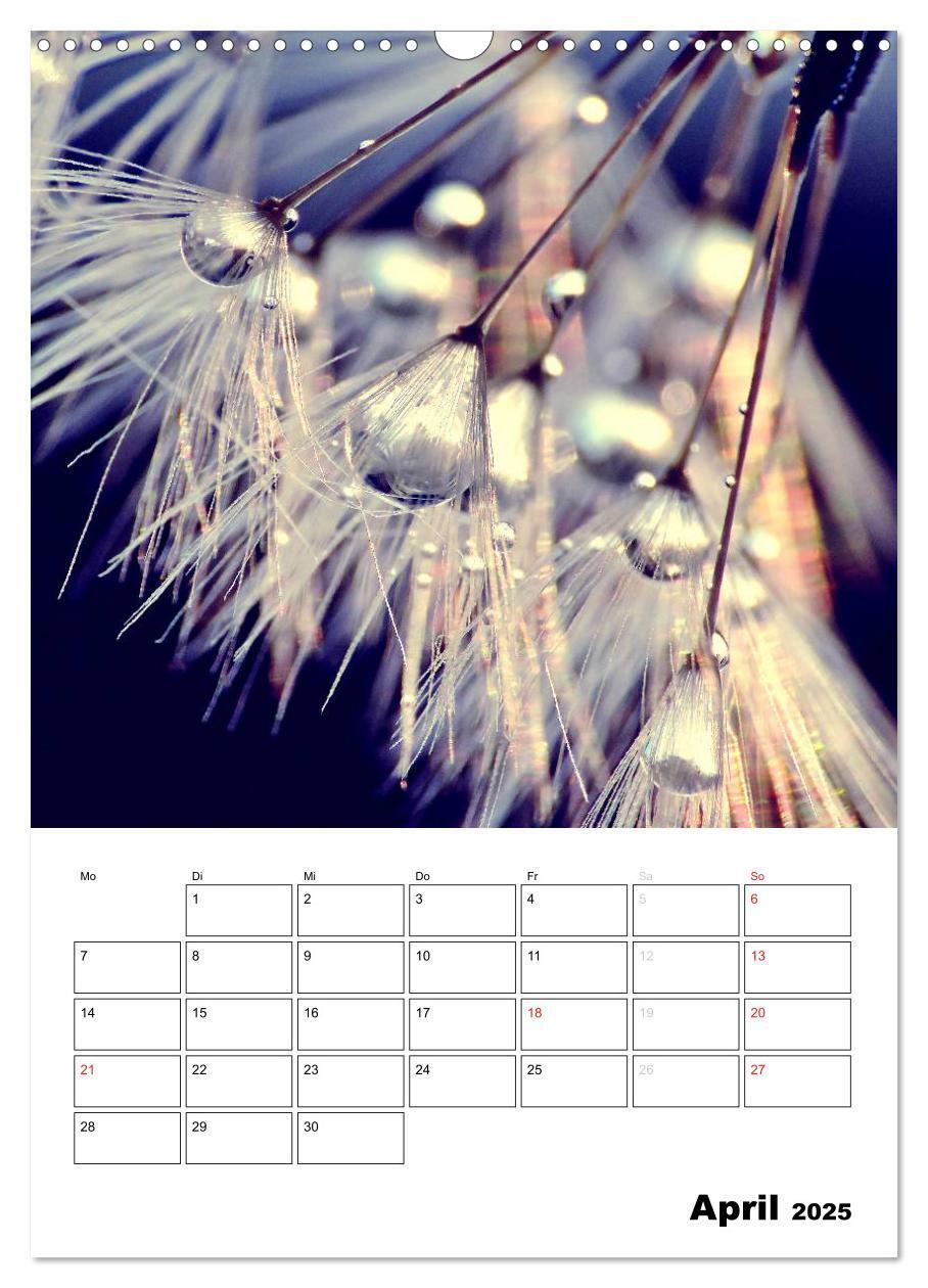 Bild: 9783457068458 | Pusteblumentraum - Dreams of Dandelion (Wandkalender 2025 DIN A3...