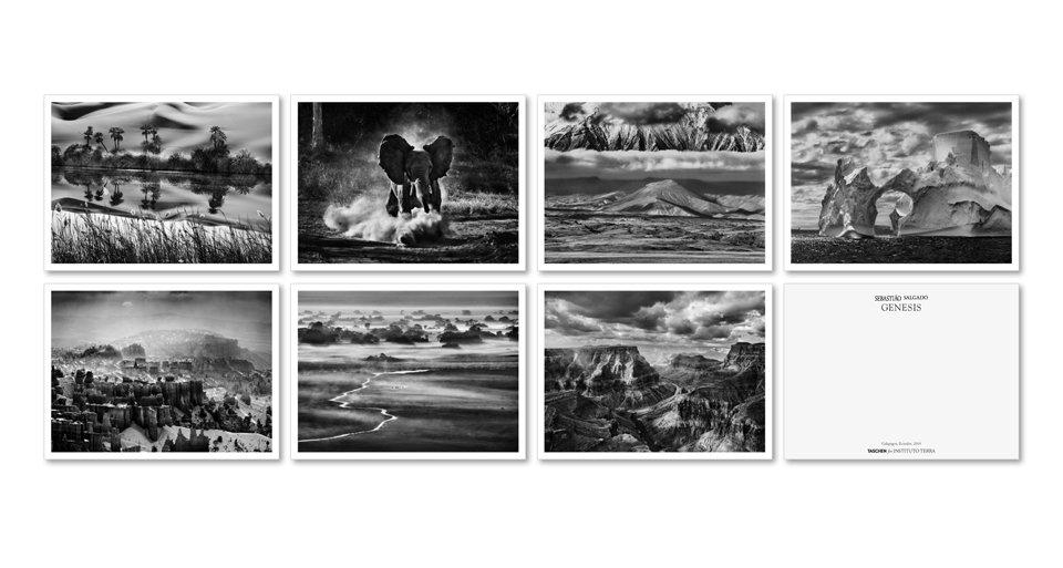 Bild: 9783836548014 | Sebastião Salgado. GENESIS. Postcard Set | Taschenbuch | 50 S. | 2020