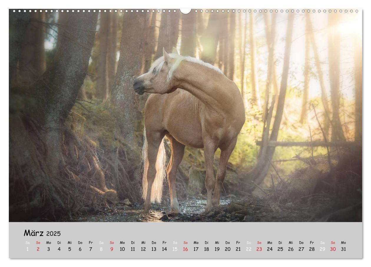 Bild: 9783435563074 | Pferde - Anmut und Stärke gepaart mit Magie (Wandkalender 2025 DIN...