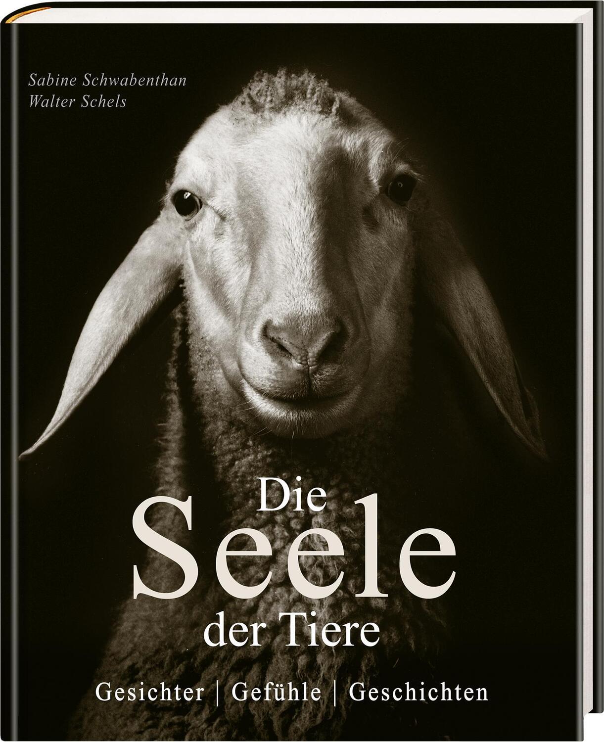 Bild: 9783809448006 | Die Seele der Tiere. Gesichter. Gefühle. Geschichten | Buch | 160 S.