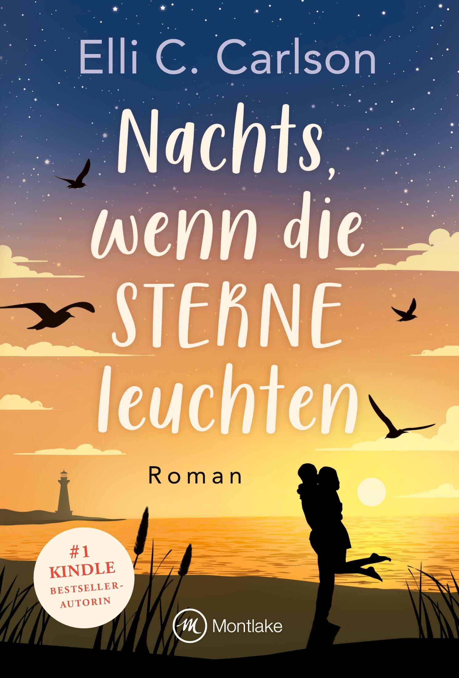 Cover: 9782496707984 | Nachts, wenn die Sterne leuchten | Elli C. Carlson | Taschenbuch