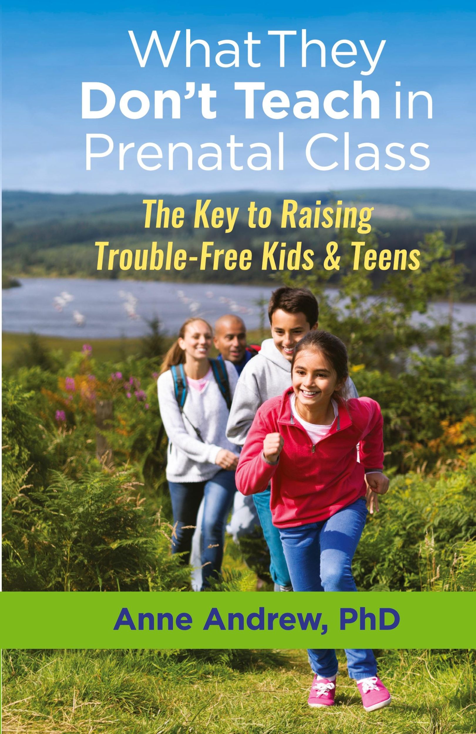 Cover: 9781775258315 | What They Don't Teach in Prenatal Class | Anne Andrew | Taschenbuch