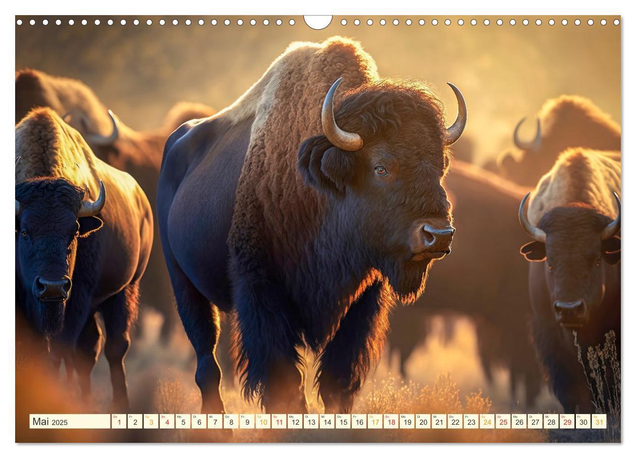 Bild: 9783383911859 | Amerikanischer Bison (Wandkalender 2025 DIN A3 quer), CALVENDO...