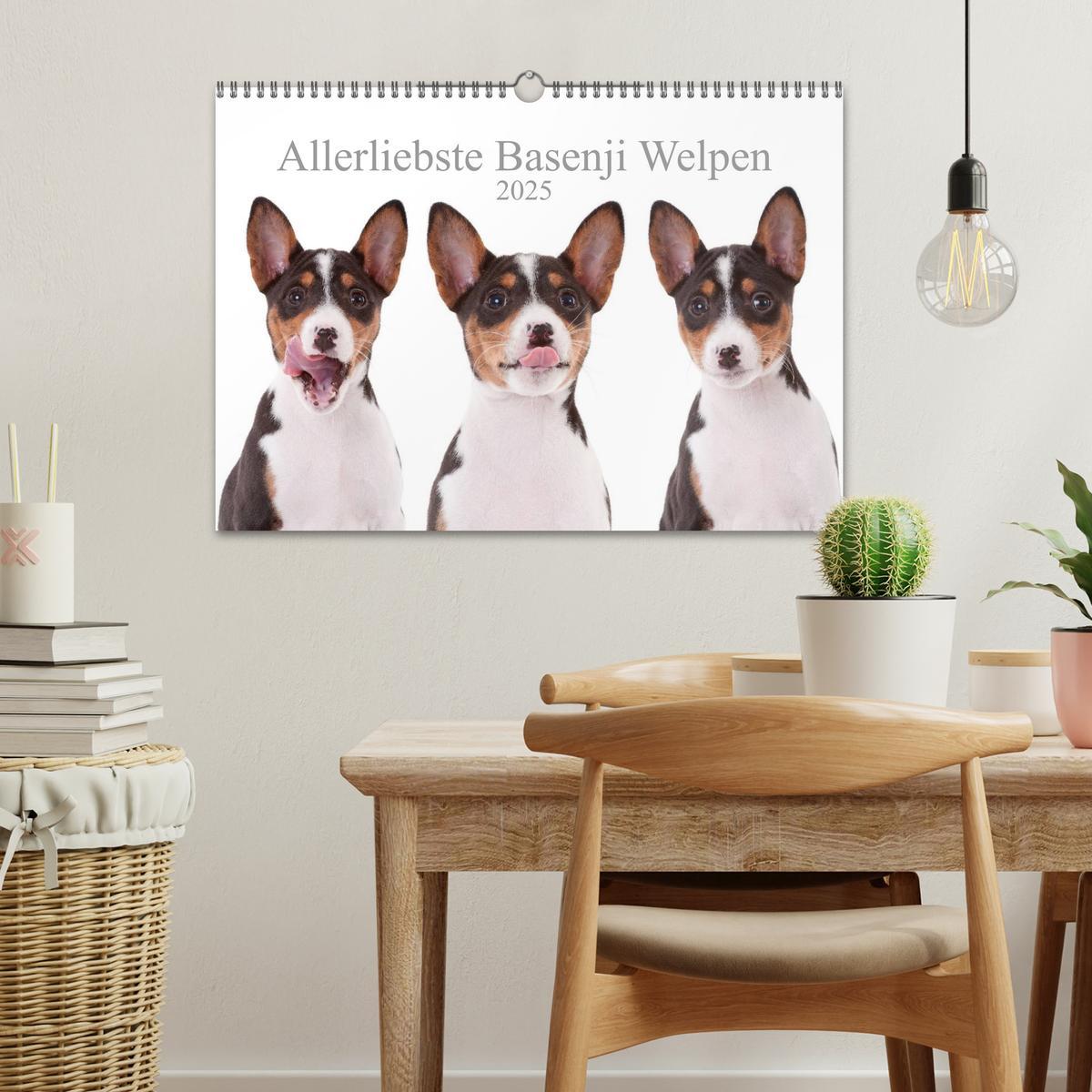 Bild: 9783435464982 | Allerliebste Basenji Welpen 2025 (Wandkalender 2025 DIN A3 quer),...