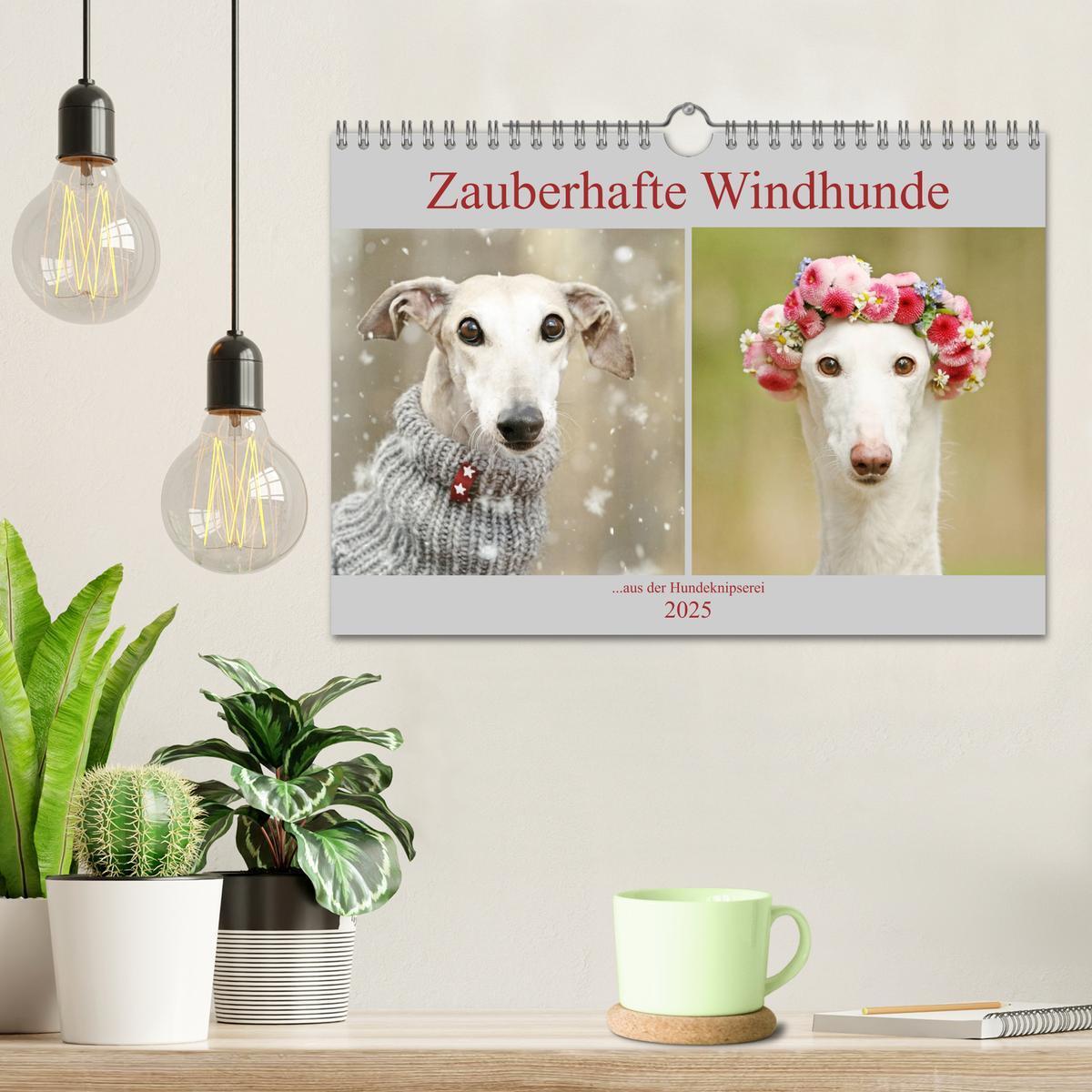 Bild: 9783435441198 | Zauberhafte Windhunde (Wandkalender 2025 DIN A4 quer), CALVENDO...