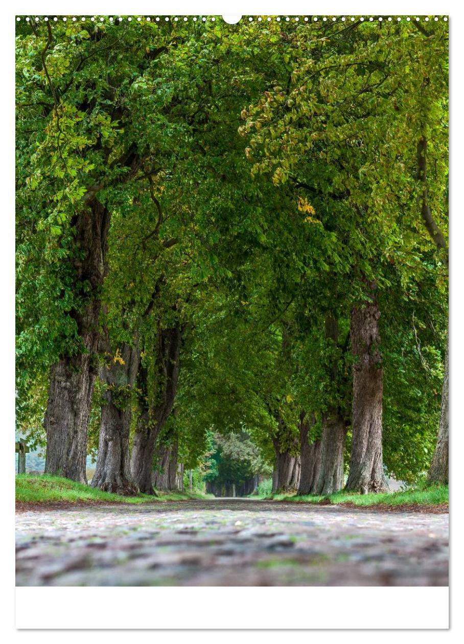 Bild: 9783457062722 | Rügen Sichtweisen (Wandkalender 2025 DIN A2 hoch), CALVENDO...