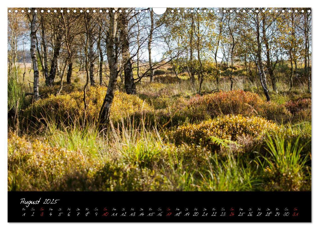 Bild: 9783435518722 | Hochmoor Hohes Venn (Wandkalender 2025 DIN A3 quer), CALVENDO...