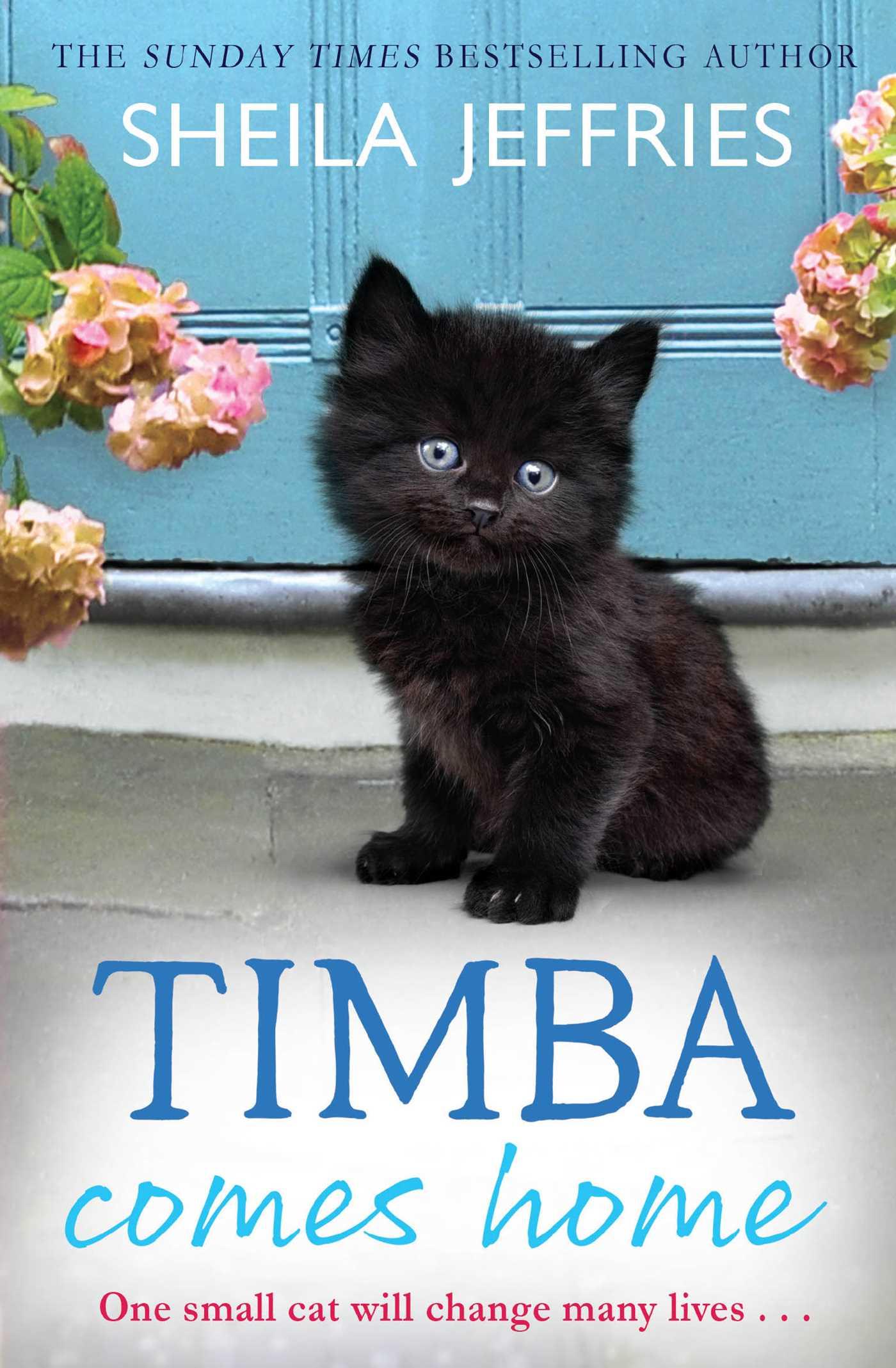 Cover: 9781471137631 | Timba Comes Home | Sheila Jeffries | Taschenbuch | 400 S. | Englisch